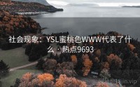 社会现象：YSL蜜桃色WWW代表了什么 · 热点9693