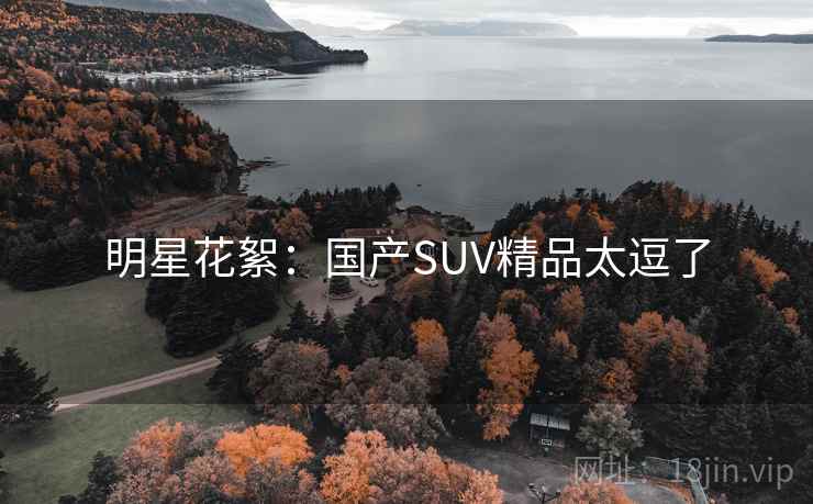 明星花絮:国产SUV精品太逗了 明星花絮:国产SUV精品太逗了